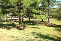 Heritage _0003_IMG_1049