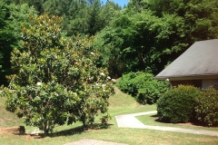 Heritage _0010_FullSizeRender (3)